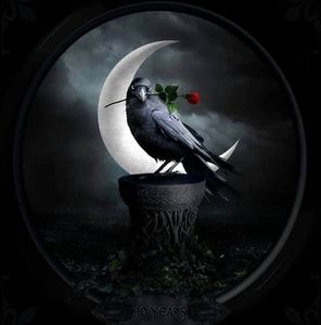 Meet your Posher, Robin